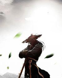 我靠武力值制霸娱乐圈风无边 番外